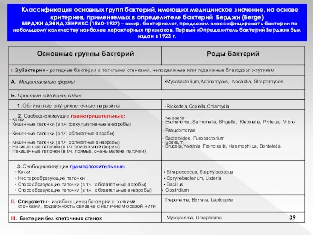 Классификация основных групп бактерий, имеющих медицинское значение, на основе критериев, применяемых в