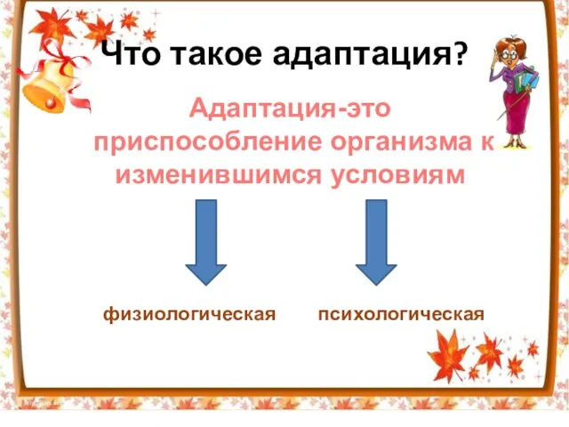 Что такое адаптация? Адаптация - это перестройка организма на работу в изменившихся