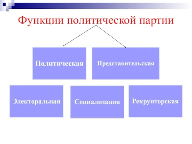 Функции политической партии