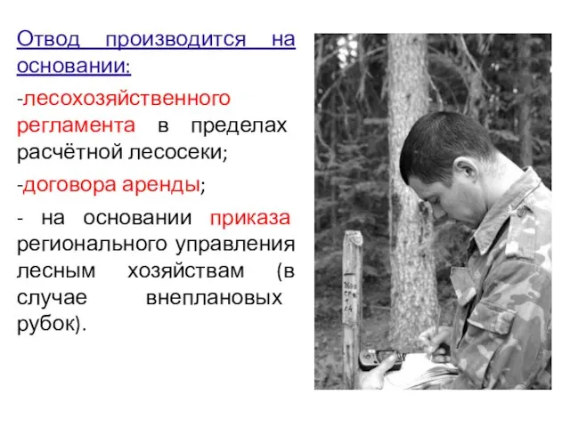 Отвод производится на основании: -лесохозяйственного регламента в пределах расчётной лесосеки; -договора аренды;