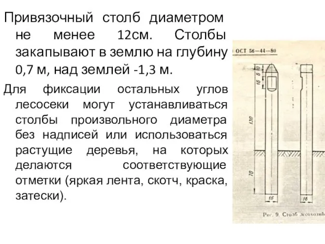 Привязочный столб диаметром не менее 12см. Столбы закапывают в землю на глубину