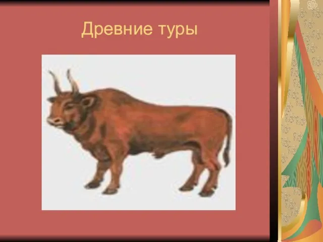 Древние туры