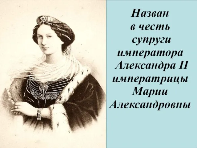 Назван в честь супруги императора Александра II императрицы Марии Александровны