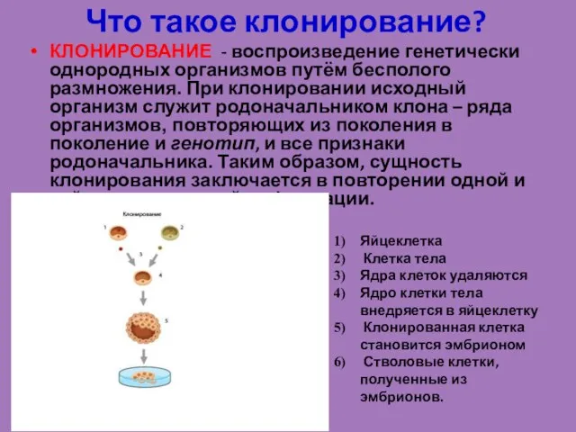 Что такое клонирование? КЛОНИРОВАНИЕ - воспроизведение генетически однородных организмов путём бесполого размножения.