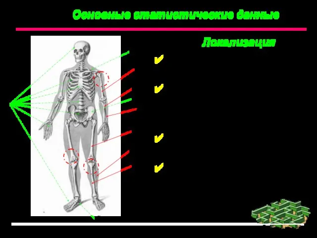 Основные статистические данные Локализация В 80 – 85% случаев поражаются длинные трубчатые