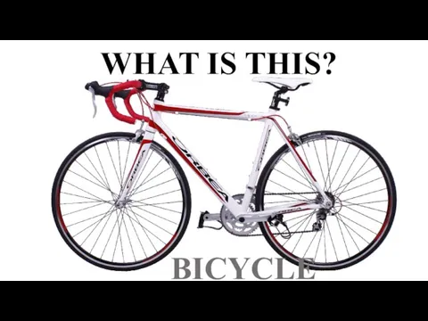 WHAT IS THIS? BICYCLE