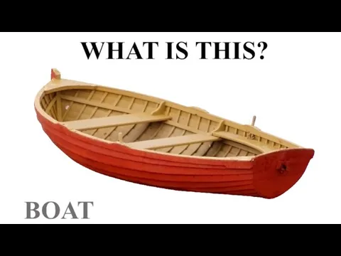 WHAT IS THIS? BOAT