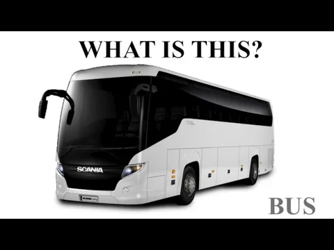 WHAT IS THIS? BUS