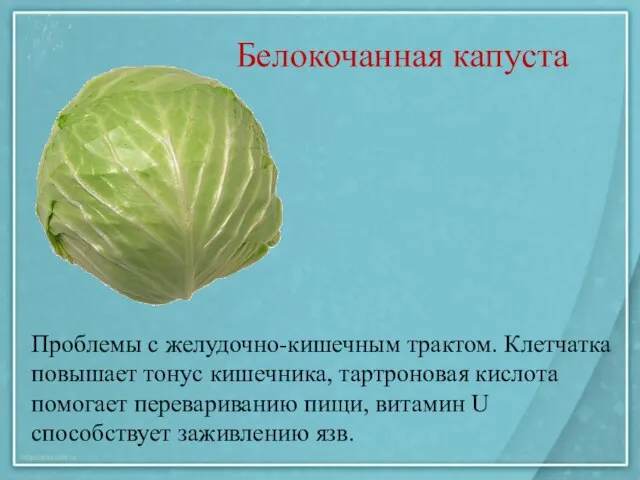 Белокочанная капуста Проблемы с желудочно-кишечным трактом. Клетчатка повышает тонус кишечника, тартроновая кислота