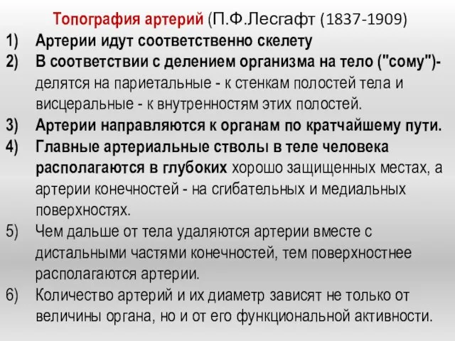 Топография артерий (П.Ф.Лесгафт (1837-1909) Артерии идут соответственно скелету В соответствии с делением