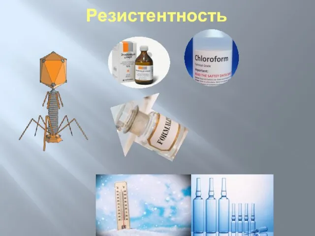 Резистентность