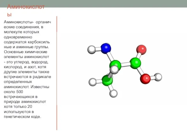 Аминокислоты Аминокислоты- органические соединения, в молекуле которых одновременно содержатся карбоксильные и аминные