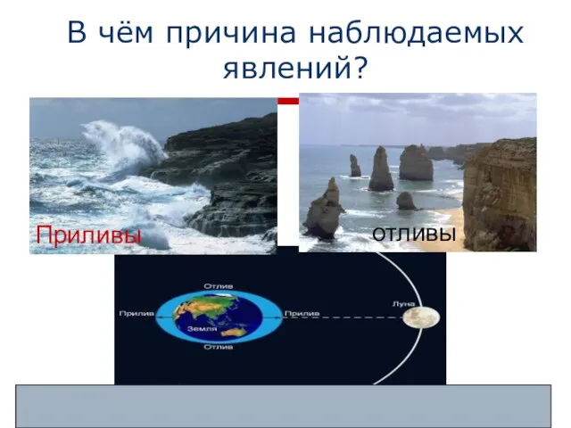 В чём причина наблюдаемых явлений? Луна притягивает к себе воду в океанах и морях Приливы отливы