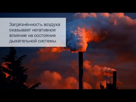 Загрязнённость воздуха оказывает негативное влияние на состояние дыхательной системы.