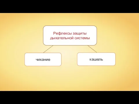 Рефлексы защиты дыхательной системы