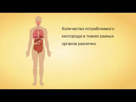 Количество потребляемого кислорода в тканях разных органов различно.