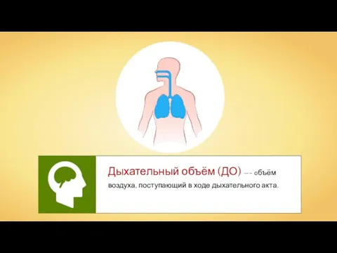 Дыхательный объём (ДО) —– объём воздуха, поступающий в ходе дыхательного акта.