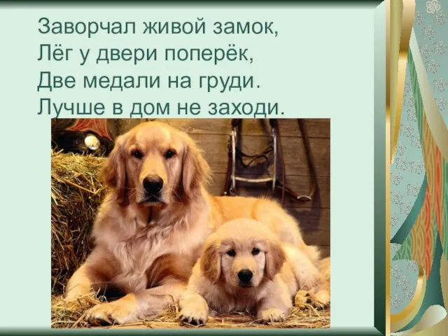 Заворчал живой замок, Лёг у двери поперёк, Две медали на груди. Лучше в дом не заходи.