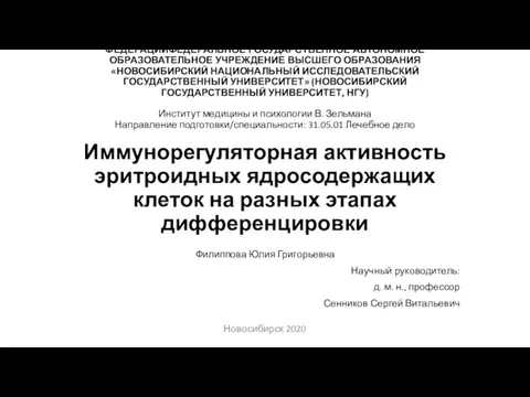 Иммунорегуляторная активность эритроидных ядросодержащих клеток на разных этапах дифференцировки