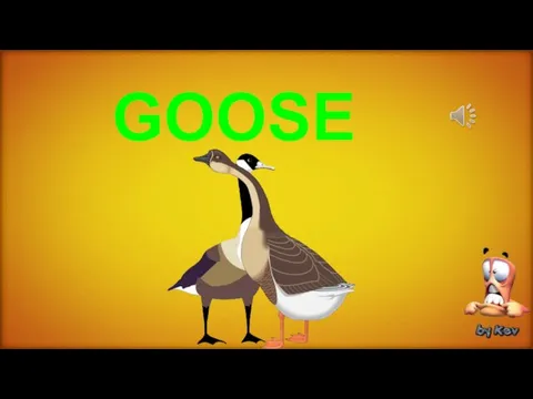 GOOSE