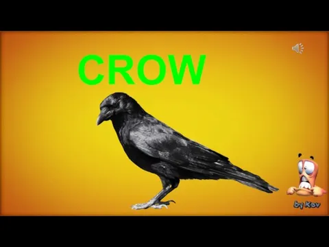 CROW