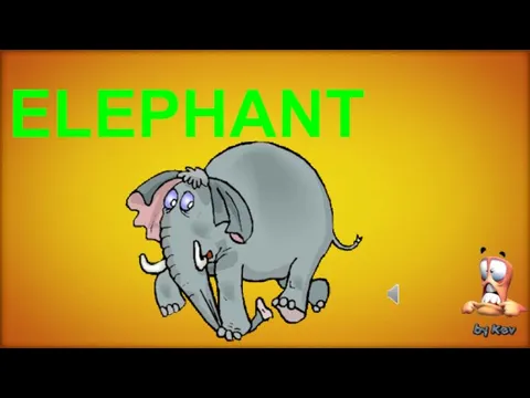 ELEPHANT