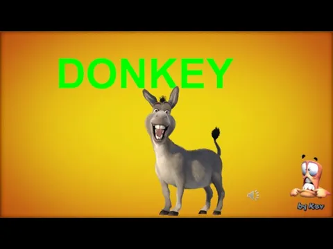 DONKEY