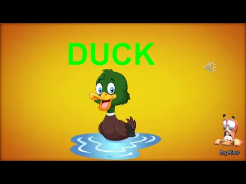 DUCK