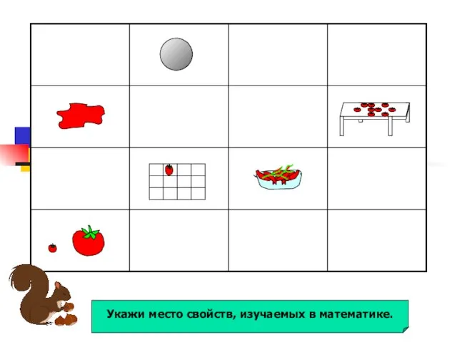 Укажи место свойств, изучаемых в математике.