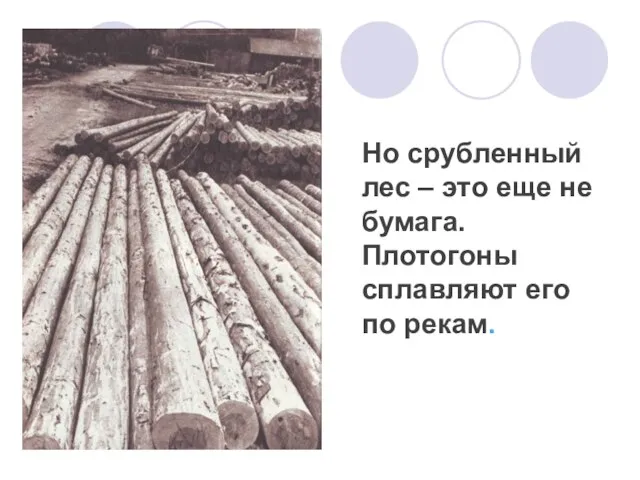 Но срубленный лес – это еще не бумага. Плотогоны сплавляют его по рекам.