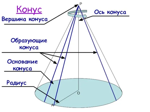 О А Р Конус Ось конуса Основание конуса Радиус Вершина конуса Образующие конуса