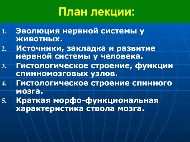 План лекции: Эволюция нервной системы у животных. Источники, закладка и развитие нервной