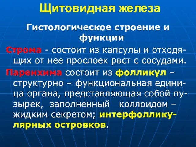 Щитовидная железа Гистологическое строение и функции Строма - состоит из капсулы и