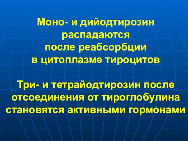 Моно- и дийодтирозин распадаются после реабсорбции в цитоплазме тироцитов Три- и тетрайодтирозин