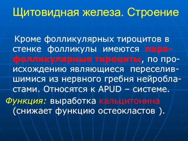 Щитовидная железа. Строение Кроме фолликулярных тироцитов в стенке фолликулы имеются пара-фолликулярные тироциты,