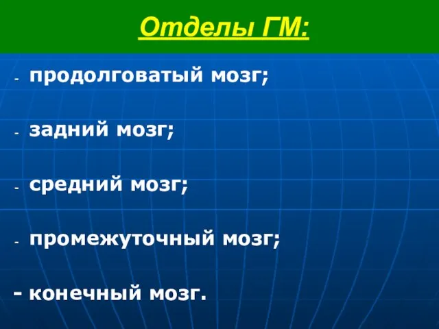 Отделы ГМ: продолговатый мозг; задний мозг; средний мозг; промежуточный мозг; - конечный мозг.