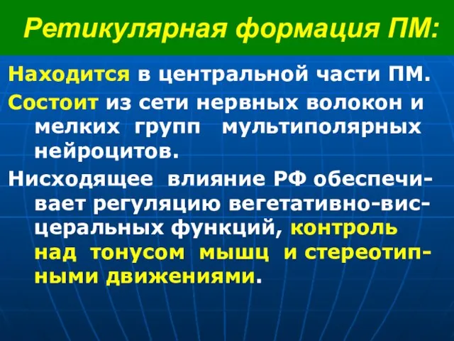 Ретикулярная формация ПМ: Находится в центральной части ПМ. Состоит из сети нервных