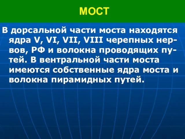 МОСТ В дорсальной части моста находятся ядра V, VI, VII, VIII черепных