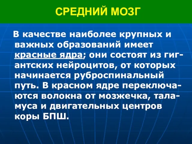 СРЕДНИЙ МОЗГ В качестве наиболее крупных и важных образований имеет красные ядра;