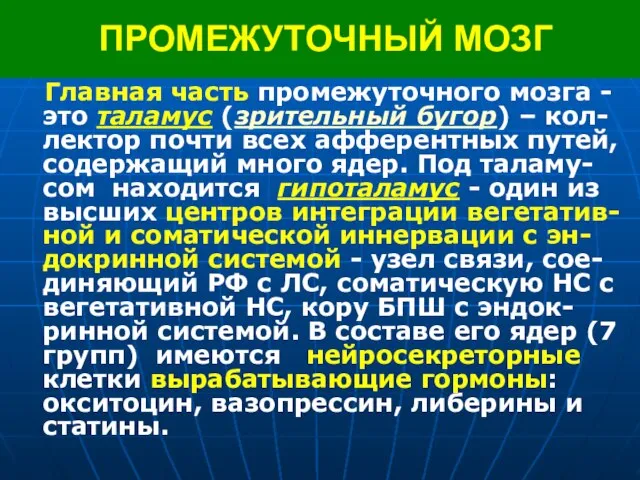 ПРОМЕЖУТОЧНЫЙ МОЗГ Главная часть промежуточного мозга - это таламус (зрительный бугор) –