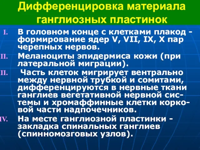 Дифференцировка материала ганглиозных пластинок В головном конце с клетками плакод - формирование