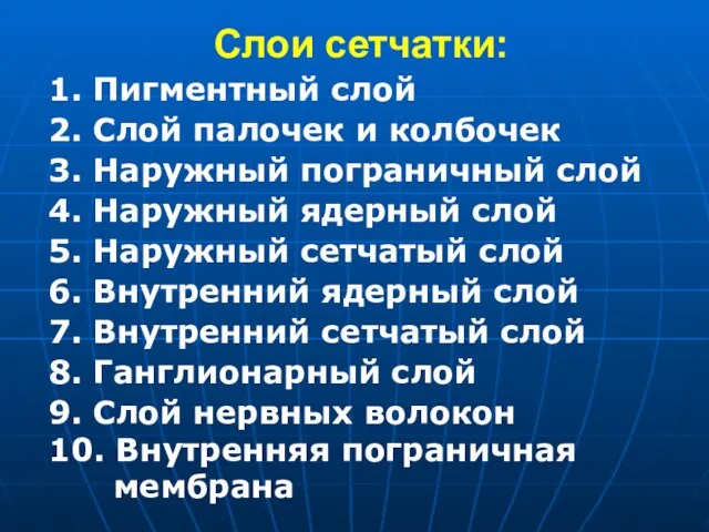 Слои сетчатки: 1. Пигментный слой 2. Слой палочек и колбочек 3. Наружный