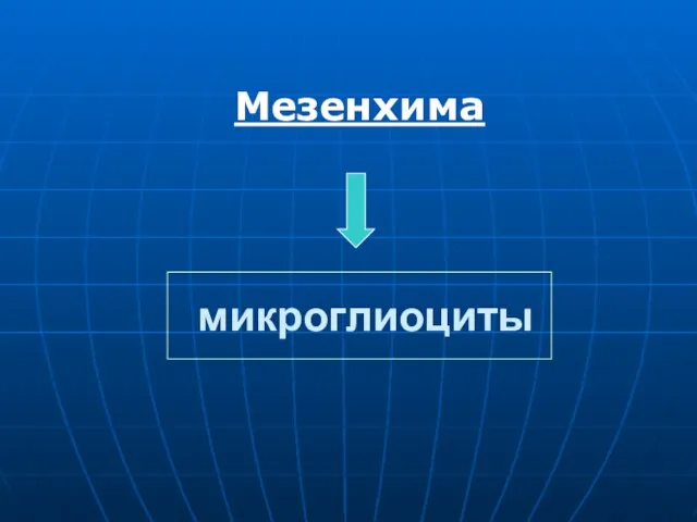 микроглиоциты Мезенхима