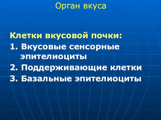 Клетки вкусовой почки: 1. Вкусовые сенсорные эпителиоциты 2. Поддерживающие клетки 3. Базальные эпителиоциты Орган вкуса