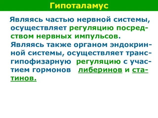 Являясь частью нервной системы, осуществляет регуляцию посред-ством нервных импульсов. Являясь также органом