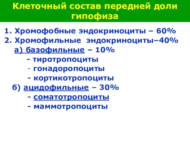 1. Хромофобные эндокриноциты – 60% 2. Хромофильные эндокриноциты–40% а) базофильные – 10%