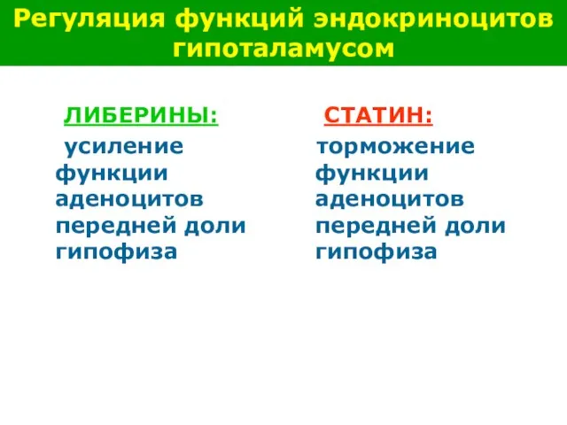 ЛИБЕРИНЫ: усиление функции аденоцитов передней доли гипофиза СТАТИН: торможение функции аденоцитов передней