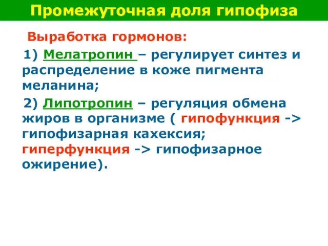 Выработка гормонов: 1) Мелатропин – регулирует синтез и распределение в коже пигмента