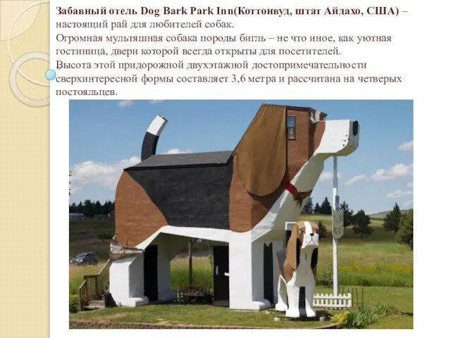 Забавный отель Dog Bark Park Inn(Коттонвуд, штат Айдахо, США) – настоящий рай