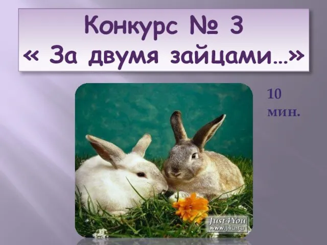 Конкурс № 3 « За двумя зайцами…» 10 мин.